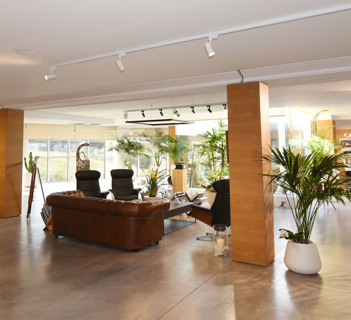 Witte railspots LED op plafondrail