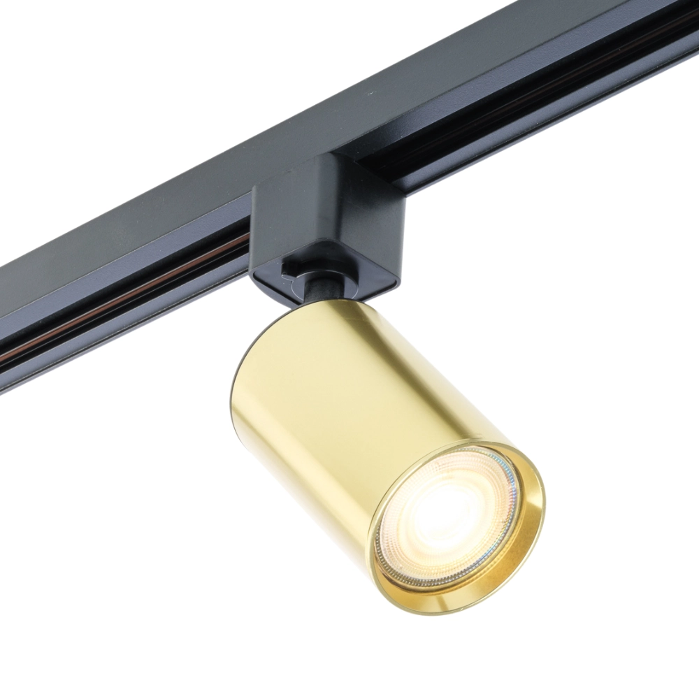 Zwarte railbeugel met gouden cilindrische GU10-spot en ronde lens